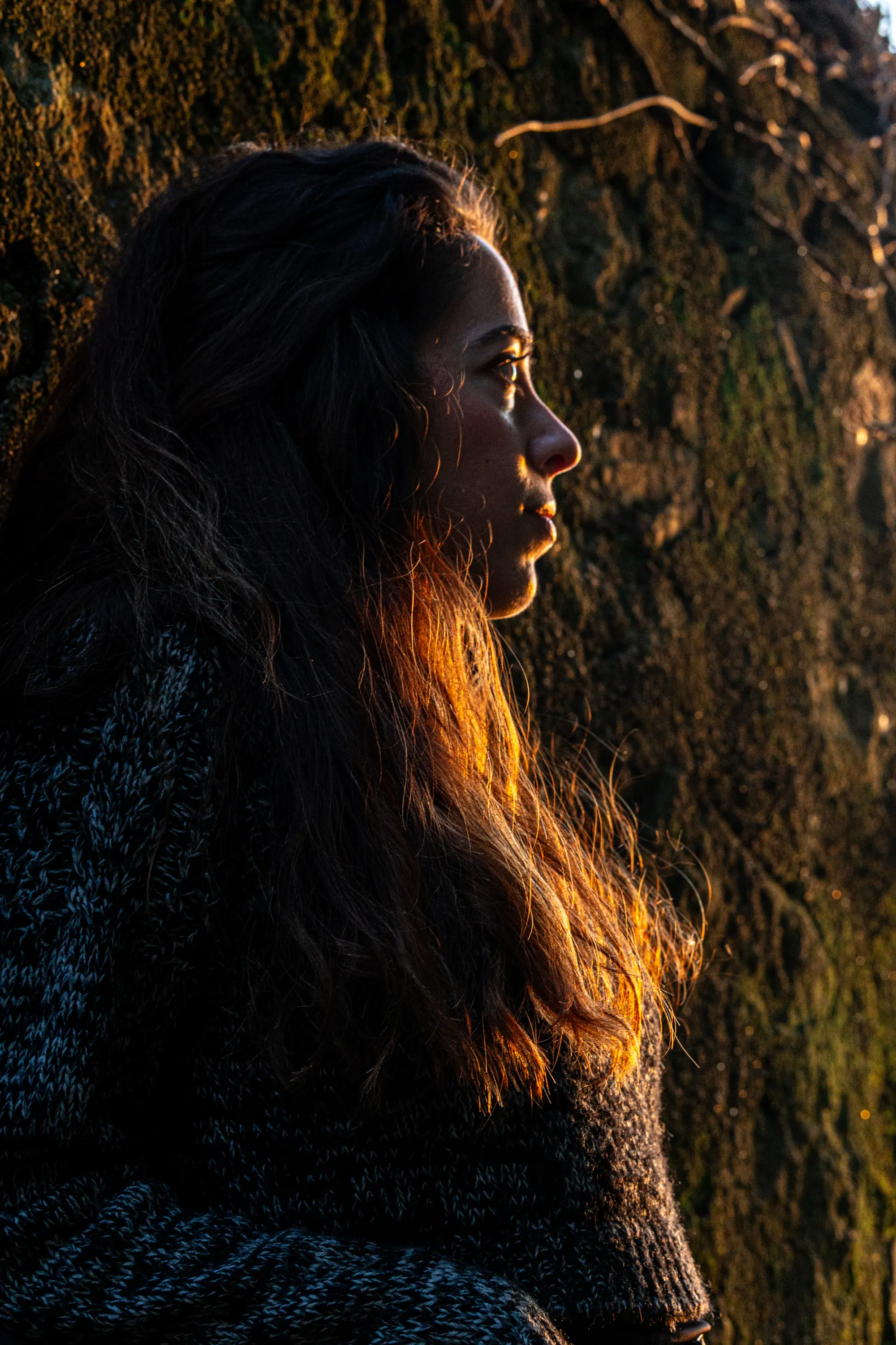 Portraits